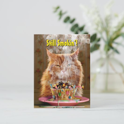 溶けた誕生日ケーキの面白い怒り猫 インビテーションポストカード (スタンド正面)