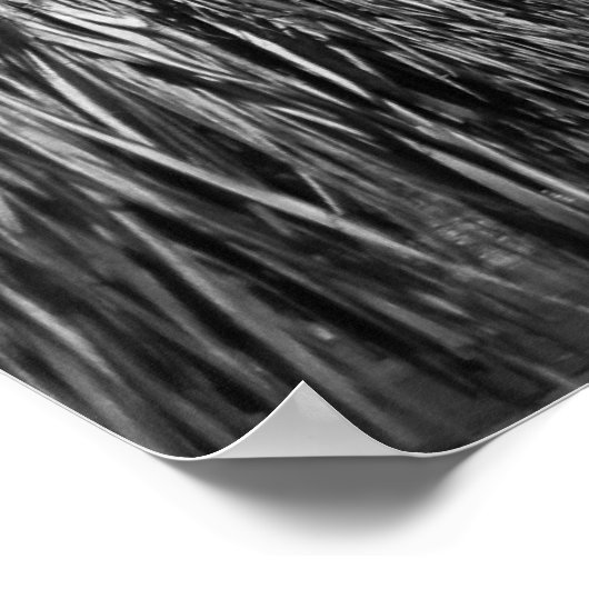 溶ける ポスター (角)