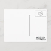 溶ける ポストカード (裏面)