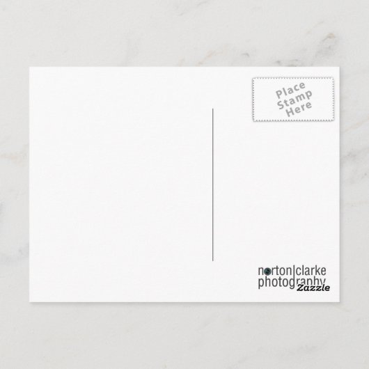 溶ける ポストカード (裏面)