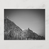 溶ける ポストカード (正面)