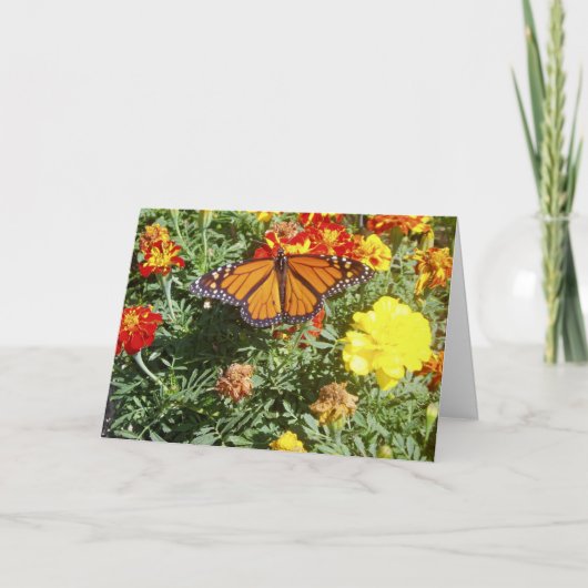 「溶け込む」イースターカード カード (正面)