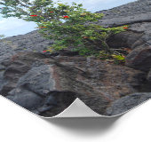 溶岩の畑で育つ赤い花のオヒアの木 ポスター (角)