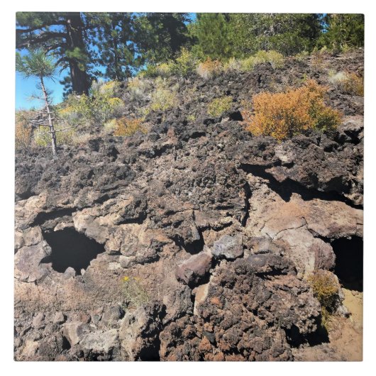 溶岩キャストフォレスト、または タイル (正面)