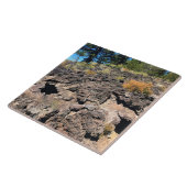 溶岩キャストフォレスト、または タイル (側面)