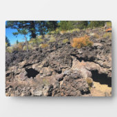 溶岩キャストフォレスト、または フォトプラーク (正面)