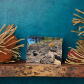 溶岩キャストフォレスト、または フォトプラーク (側面)