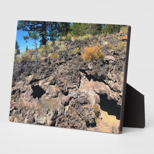 溶岩キャストフォレスト、または フォトプラーク (側面)