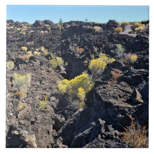 溶岩バットトレイル(OR) タイル (正面)