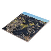 溶岩バットトレイル(OR) タイル (側面)