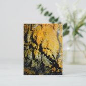 溶岩管の洞窟 ポストカード (スタンド正面)