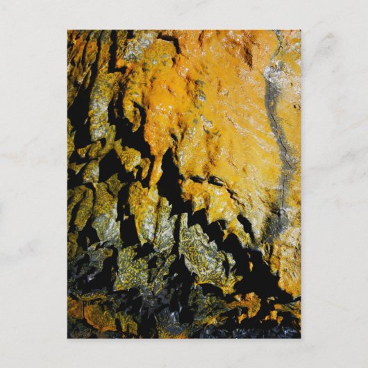 溶岩管の洞窟 ポストカード (正面)