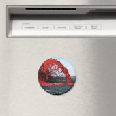 溶岩 マグネット (インサイチュ (食洗機))