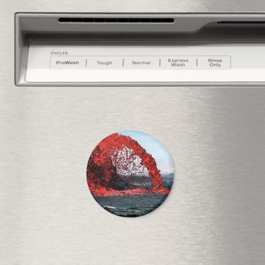 溶岩 マグネット (インサイチュ (食洗機))