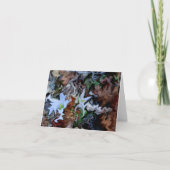 溶融….. カード (正面)