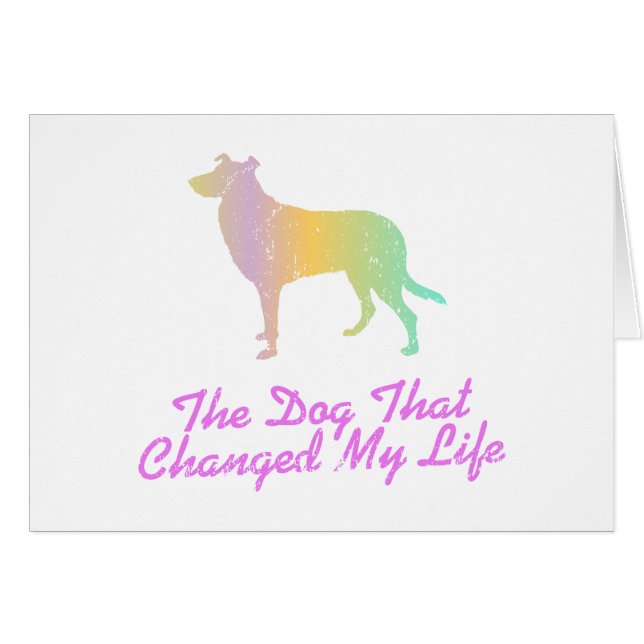 滑らかなコリー (正面横)