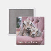 滑らかなベビーヤギ磁石 マグネット (正面/裏面)