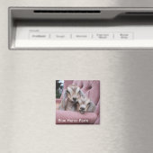 滑らかなベビーヤギ磁石 マグネット (インサイチュ (食洗機))