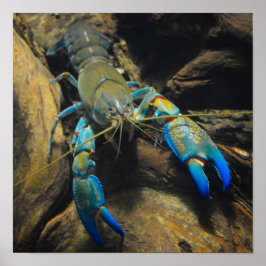 滑らかなヤビーのポスター ポスター