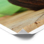 滑らかな金ゴールドアグイギニアピグ ポスター (角)