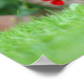 滑らかな髪のミニチュアダックシュント1 ポスター (角)