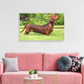 滑らかな髪のミニチュアダックシュント キャンバスプリント (インサイチュ (リビング))