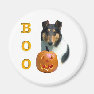 滑らかなCollie Boo – マグネット