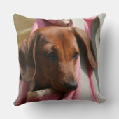 滑らか髪のミニチュアダックスフントの子犬 クッション (裏面)