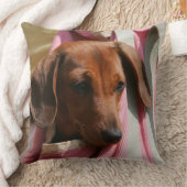 滑らか髪のミニチュアダックスフントの子犬 クッション (ブランケット)