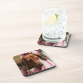 滑らか髪のミニチュアダックスフントの子犬 コースター (右側)