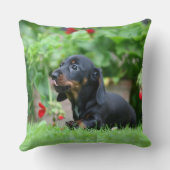 滑らか髪のミニチュアダックスフント1 クッション (裏面)