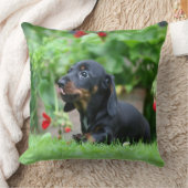 滑らか髪のミニチュアダックスフント1 クッション (ブランケット)