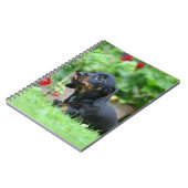 滑らか髪のミニチュアダックスフント1 ノートブック (左側)