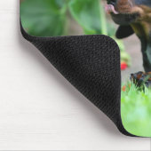 滑らか髪のミニチュアダックスフント1 マウスパッド (コーナー)