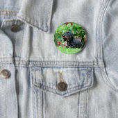 滑らか髪のミニチュアダックスフント1 缶バッジ (インサイチュ)