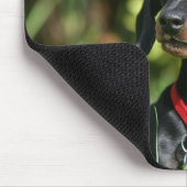 滑らか髪のミニチュアダックスフント3 マウスパッド (コーナー)