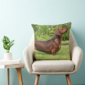 滑らか髪のミニチュアダックスフント クッション (椅子)