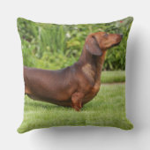 滑らか髪のミニチュアダックスフント クッション (裏面)