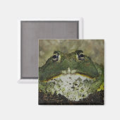 滑りたい？磁石 マグネット (正面/裏面)