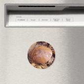 滑りやすいジャッキきのこ磁石 マグネット (インサイチュ (食洗機))