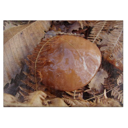 滑りやすいジャッキマッシュルームガラスの切り盤 カッティングボード (正面)