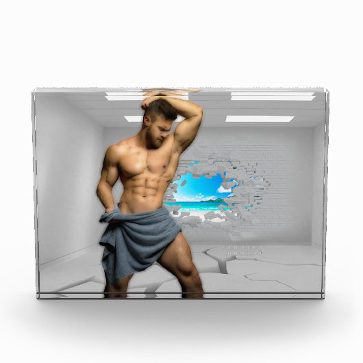 滑りやすいジョーのマンタオル白レンガの壁のバーを壊した フォトブロック (正面)