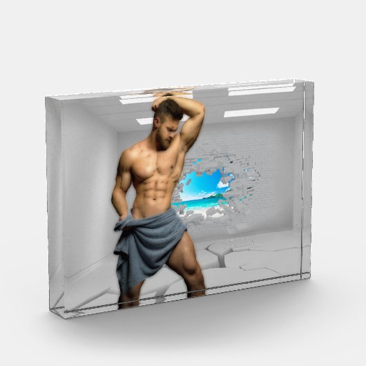 滑りやすいジョーのマンタオル白レンガの壁のバーを壊した フォトブロック (左)