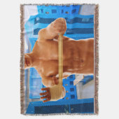 滑りやすいジョーの筋肉質な男のシルクのない胸6パック スローブランケット (正面縦)