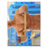滑りやすいジョーの筋肉質な男のシルクのない胸6パック テーブルクロス (正面)