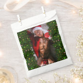 滑りやすいジョー男性の胸6パック胃むき出しの胴体 フェイバーバッグ (クリップ留めされた状態)