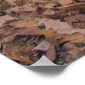 滑走性スラグゴ ポスター (角)