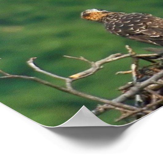 滑走路澄ん ポスター (角)