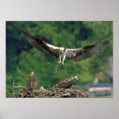 滑走路澄ん ポスター (正面)