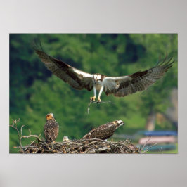 滑走路澄ん ポスター